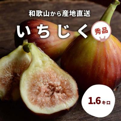 ふるさと納税 和歌山市 和歌山産 いちじく 秀品1.6kg(400g ×4パック)