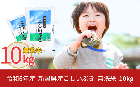 新米 無洗米 新潟県産こしいぶき10kg 無洗米こしいぶき 令和6年産 無洗米 米 [株式会社白熊]【012S021】