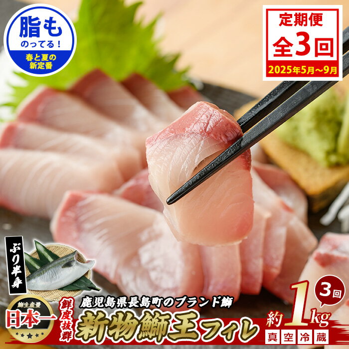 【ふるさと納税】＜定期便・毎月 全3回＞鰤王フィレ 定期便 長島町特産「鰤王」フィレ 約1.0kg×1枚 鰤 国産 鹿児島県産 鰤 ブリ ぶり 鰤 ぶりおう 冷蔵 海鮮 海産物 魚介 ブランド 魚 真空パック 刺身 ぶりしゃぶ しゃぶしゃぶ 海鮮丼 産地直送【JFA】jfa-1481B