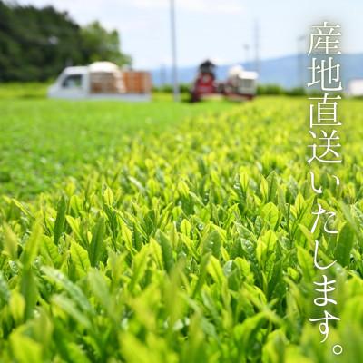 ふるさと納税 沼津市 沼津産　普通煎茶　100g ×3袋 合計300g |  | 03