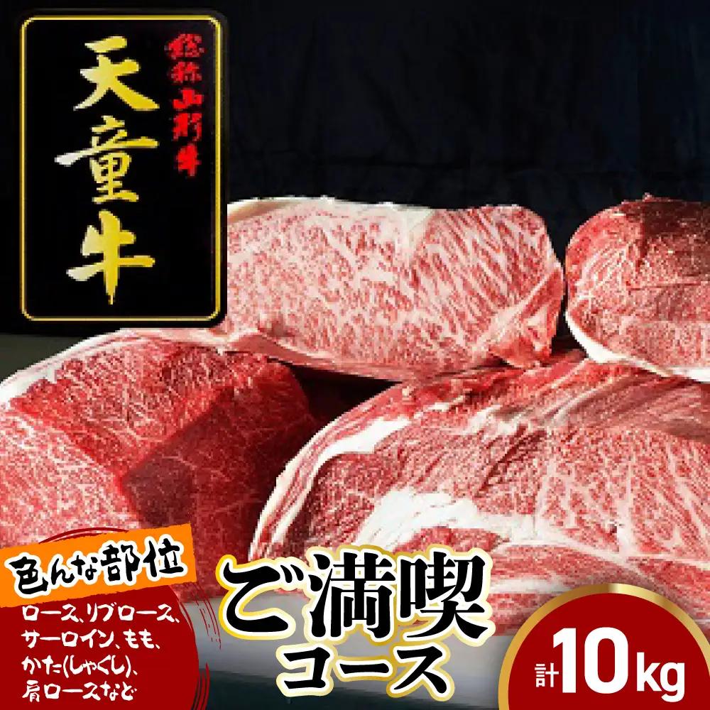 天童牛 ご満喫 コース 約 10kg 冷凍 ブランド牛 山形牛 牛肉