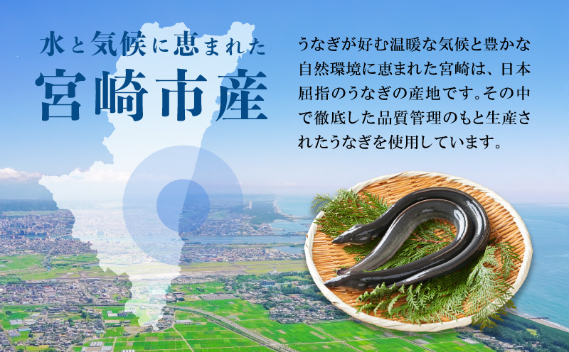 宮崎県宮崎市産 うなぎの蒲焼 約660g(約220g×3尾) タレ・山椒セット 国産 うなぎ 蒲焼き 3尾 鰻 ウナギ 蒲焼 うなぎ蒲焼 うなぎ蒲焼き タレ 山椒 冷凍 パック 電子レンジ レンジ ひ