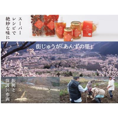 ふるさと納税 千曲市 千曲市産あんずシロップ漬(半割・370g)1個 千曲市森産あんずジャム(平和丸・150g)2個セット |  | 02
