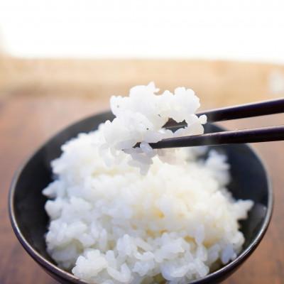 ふるさと納税 上越市 【令和6年産 2024年10月より順次発送】新潟県上越産　有機栽培米コシヒカリ【白米】　5kg×1袋 |  | 01