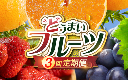 フルーツ定期便 3回 いちご メロン みかん