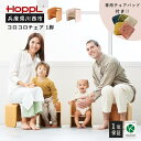 HOPPL（ホップル） コロコロチェア（子ども用椅子）・専用チェアパッドセット ／ 赤ちゃん 子供 キッズ 男の子 女の子 木製 木育 Baby 出産祝い 子供部屋 インテリア 家具 椅子 クッション 座椅子 子供用椅子 かわいい おしゃれ 送料無料 兵庫県