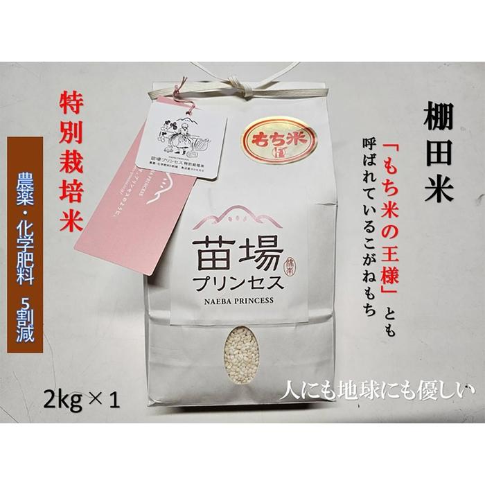 【ふるさと納税】【令和8年産先行予約】 もち米 2kg 魚沼産 こがねもち 苗場プリンセス 特別栽培米 | 精米 コガネモチ 餅米 モチ米 農薬化学肥料5割減 ブランド米 おすすめ 人気 ギフト プレゼント 新潟県 津南町