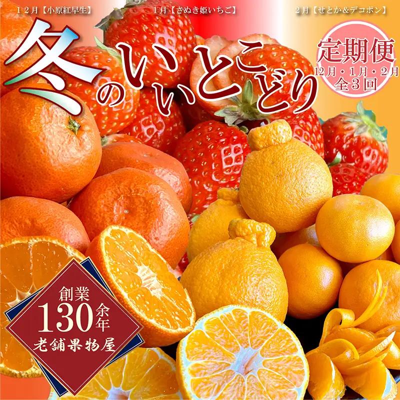 冬のいいとこどり定期便【全3回】 果物 定期便 フルーツ くだもの畑PonPon