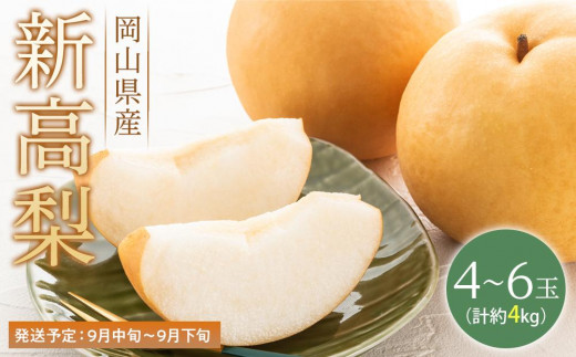 梨 2026年  新高梨 青秀以上 4～6玉 約4kg  なし ナシ 岡山県産 国産 フルーツ 果物 ギフト