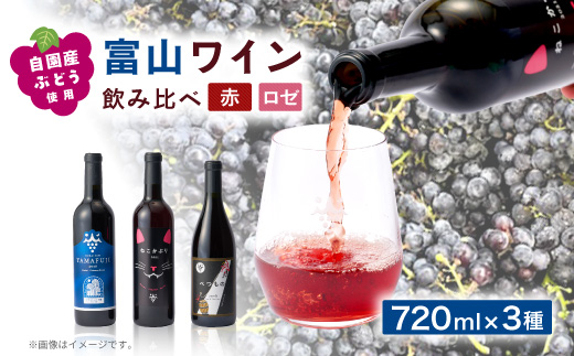 富山ワイン3本セット