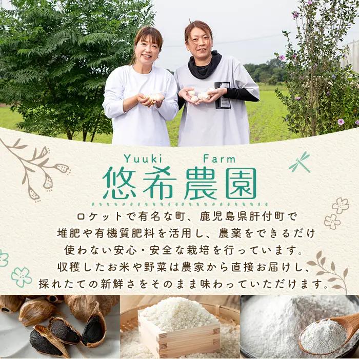 【A93002】農家直送 鹿児島県産 熟成 黒にんにく(計約240g・約120g×2パック) 鹿児島 国産 ニンニク 大蒜 ガーリック 野菜 薬味 発酵 小分け【悠希農園】