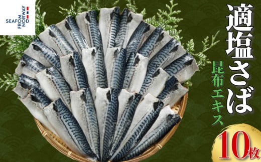 適塩さば 昆布エキス入り 10枚 さば 鯖 適塩  塩鯖 塩さば さばフィーレ 鯖フィレ 切り身 切身 昆布 小分け 個別冷凍 お弁当 惣菜 おかず 冷凍 冷凍品 長期保存 保存食 鮮度 旨味 お取り寄せ グルメ 食品 魚 魚貝 大容量 ギフト 贈物 贈り物 プレゼント 海鮮 ふるさと納税 ふるさと納税鯖 送料無料 10000 10000円 千葉県 銚子市 エドノフーズ
