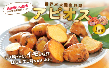 【0082】世界三大健康野菜 アピオス 1キロ