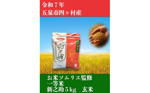 令和7年産新米【お米ソムリエのお米】新之助 玄米 5kg（5kg×1袋）新潟県 五泉市 エバーグリーン農場