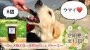 【ふるさと納税】中〜大型犬向け☆天然いのししスモークジャーキー8個【定期便】全12回（FB092）