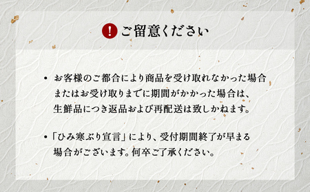 【先行予約】ひみ寒ぶり 柵 2-3人前（腹のみ） 富山湾  能登 寒ブリ 天然鰤 冷蔵 サク 富山県 氷見市