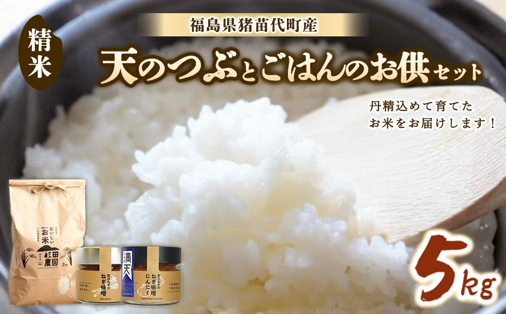 
                  【セット】 お米 天のつぶ 5㎏とごはんのお供（軟白ねぎのねぎ味噌とねぎ味噌にんにく）セット | 生産者直送 白米 精米 ネギみそ 葱味噌 葱みそ おかず
                