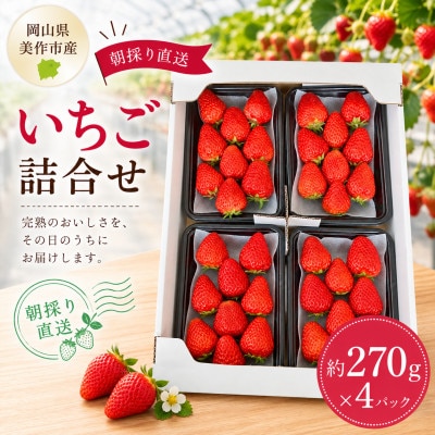 【2027年1月発送開始】【訳アリ】岡山県美作市産　いちご詰合せ(約270g×4パック)【配送不可地域：離島・北海道・沖縄県】