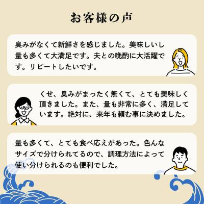 ふるさと納税 愛南町 特選 かつおの塩たたき 5節セット タレ藻塩付き かつおのたたき 鰹タタキ ハマスイ 愛南町 愛媛県 |  | 03