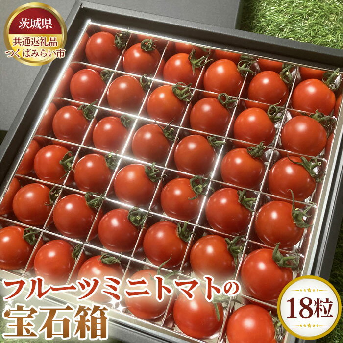 【ふるさと納税】No.332 【先行予約】フルーツミニトマトの宝石箱　18粒【茨城県共通返礼品 つくばみらい市】 ／ 旬 新鮮 とまと 野菜 送料無料 茨城県