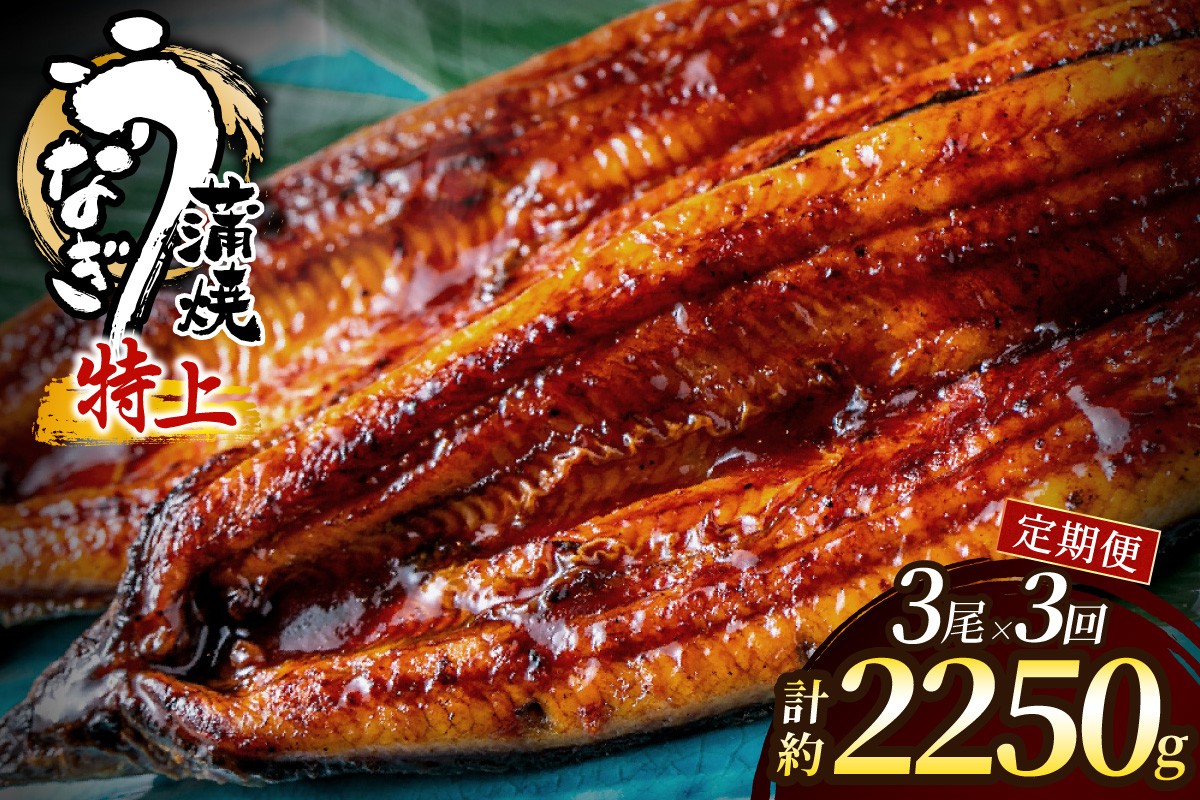 
                  【3回定期便】うなぎ蒲焼き750g以上(250g以上×3尾)【魚住商店】_AM0224-00 うなぎ 鰻 蒲焼 真空パック 福岡県宗像市 宗像市 福岡 宗像
                