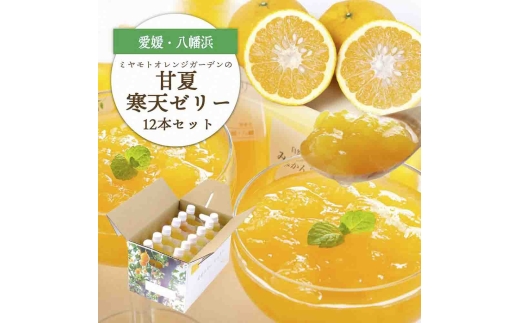 ほろ苦く甘酸っぱいさわやかな味わい 愛媛産 甘夏寒天ゼリー12本セット＜D25-17＞【1255524】 YWTAP010