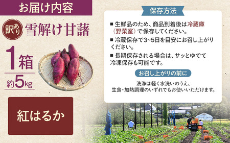 訳あり 雪解け甘藷 紅はるか さつまいも スイーツ 三戸町