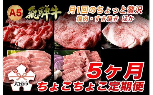 
A5飛騨牛　定期便　5カ月ちょこちょこお届け（焼肉・すき焼き　ほか）☆
