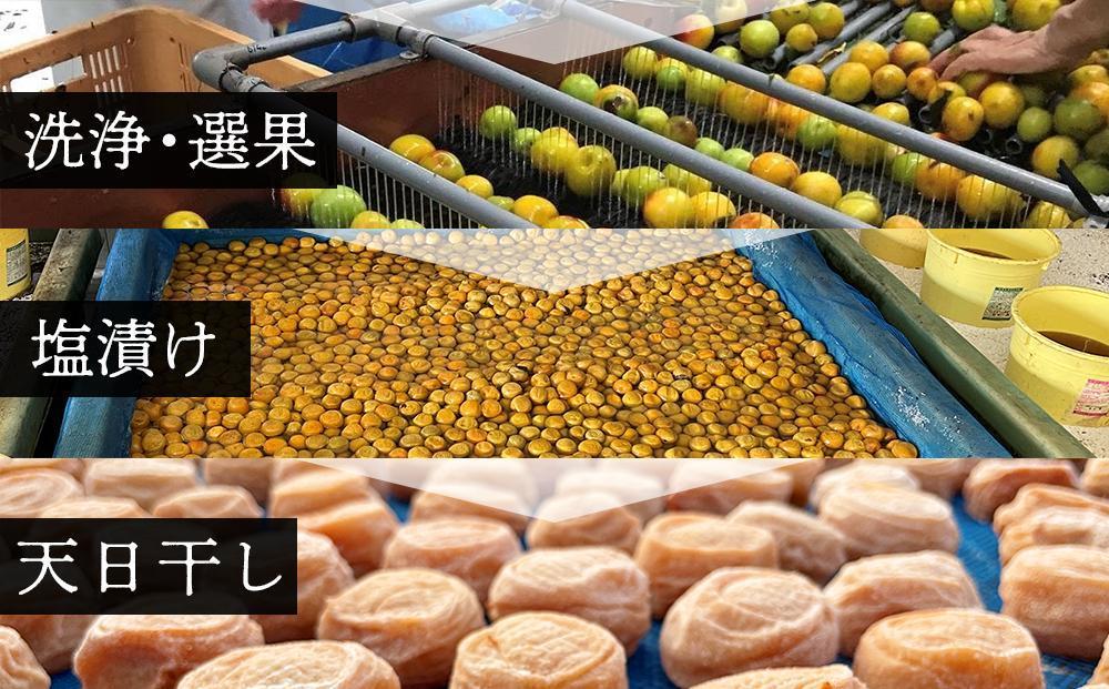 紀州南高梅使用 はちみつ うす塩味 完熟梅干し 約640g [TM197]