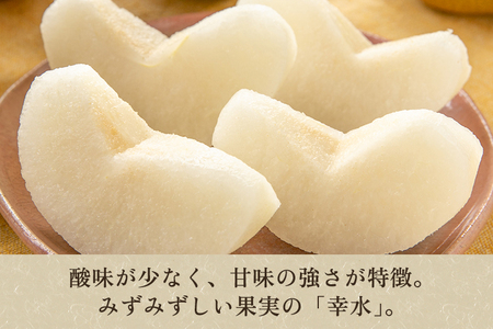 しらい農園の和梨 幸水 秀品3kg（5～9玉） 《8月中旬から順次発送》 果実 フルーツ 贈答 ギフト 甘くてジューシーな梨 なし こうすい 加茂市 しらい農園