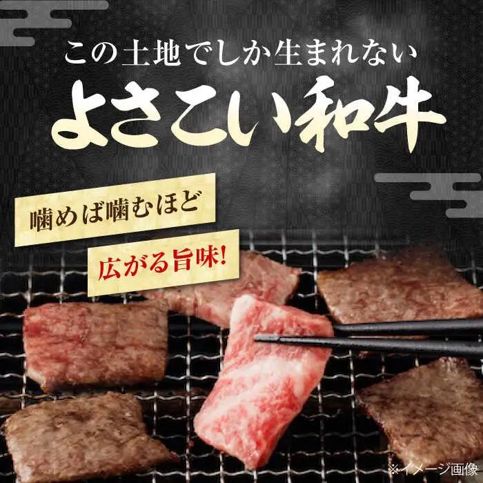 お肉の玉手箱!  総計約840g / 牛肉 ステーキ 牛肉 焼肉 牛肉 切り落とし 牛肉ステーキ 牛肉焼肉 牛肉切り落とし  [ATAP020]