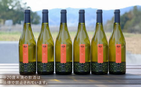 杜のワイン白 6本セット 白ワイン 辛口 お酒 セット ぶどう 島根県雲南市/有限会社奥出雲葡萄園[AICS093]
