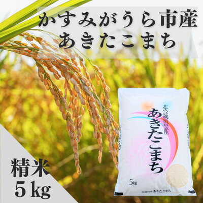 【ふるさと納税】令和7年産かすみがうら市産あきたこまち 精米 5kg【1666718】