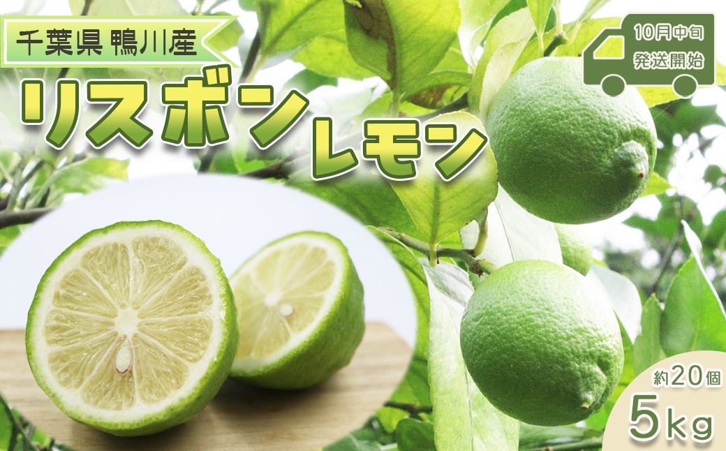 酸味の中にやさしいまろやかさ。爽やかな香りで皮まで楽しめる鴨川産レモン🍋