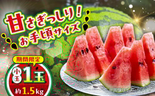 【数量限定】小玉すいか　1玉入り　約1.5kg【日本フルーツ株式会社】 [AYDA001]