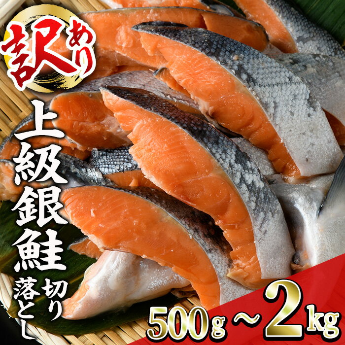 【ふるさと納税】＜内容量が選べる！訳あり＞ 無塩 銀鮭切り落とし (500g～2kg) 無塩 小分け 切り身 鮭 海鮮 魚介類 さけ 鮭 しゃけ 鮭切身 カット済 塩焼き 簡単 フライ 魚 海鮮 冷凍 お弁当 おかず【KI-19・KI-20・KI-21】【イチマル食品加工】