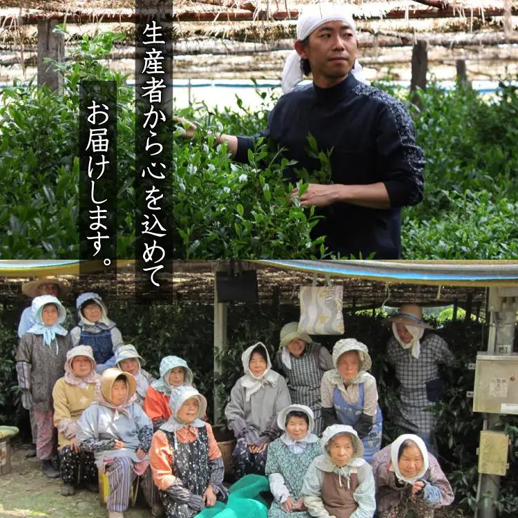 【八女茶】奥八女星野茶 高木茶園の深蒸し高級煎茶(深蒸し茶）100g×1袋 4A13