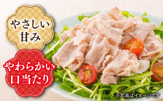 【 訳あり 】【6回定期便】 長崎うずしおポーク こま切れ 1.5kg（500g×3P） 長崎県産 西海市産 豚肉 豚 ぶた こま切れ 小分け [CAG017]＜スーパーウエスト＞