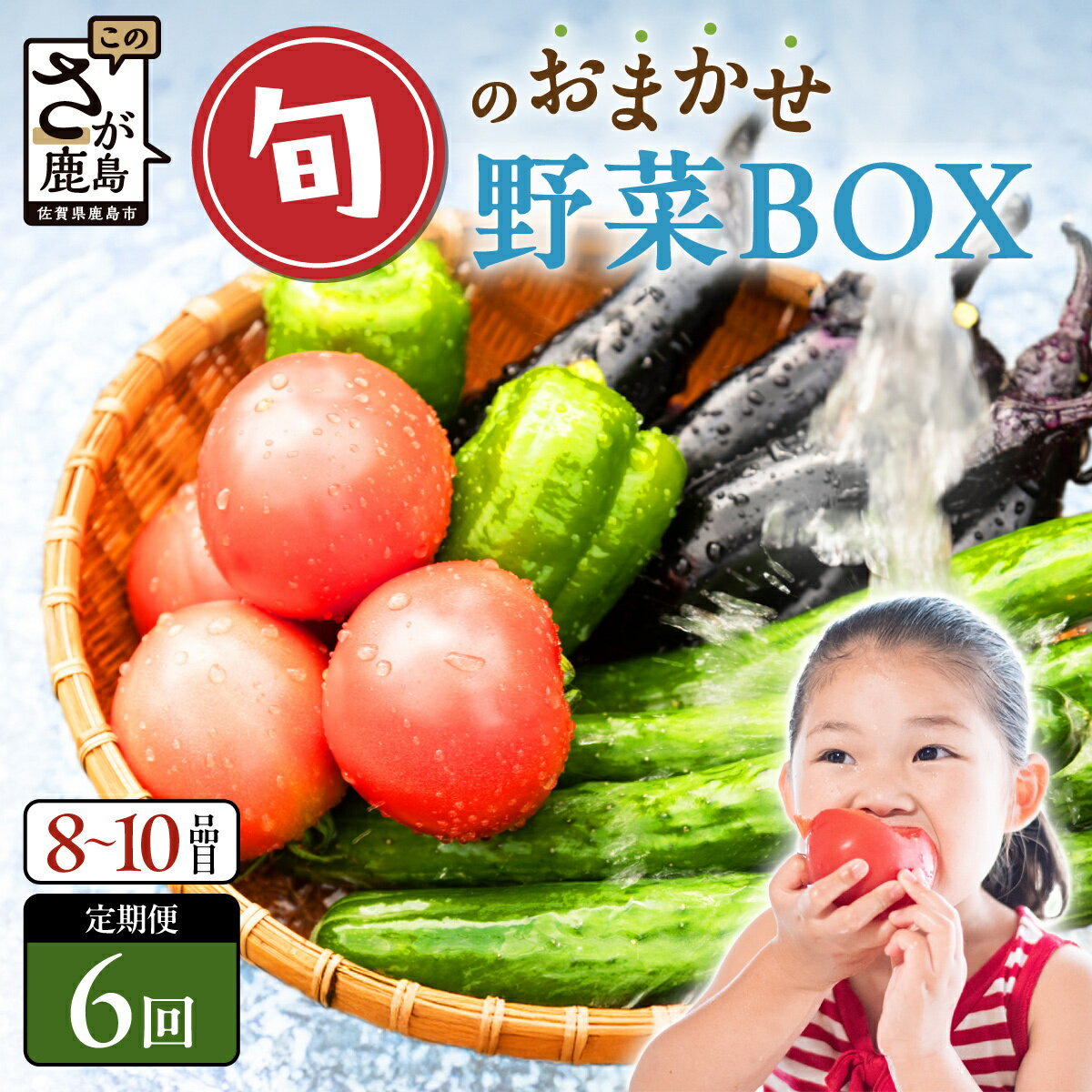 【ふるさと納税】★レビューキャンペーン【選べるサイクル】野菜 定期便 6回 旬のおまかせ野菜BOX 6ヶ月 8~10品目 | ふるさと納税 野菜 定期便 定期 やさい 定番 野菜 セット 詰め合わせ 旬 新鮮 産地直送 大容量 ふるさと 佐賀県 鹿島市 人気 送料無料 E-72