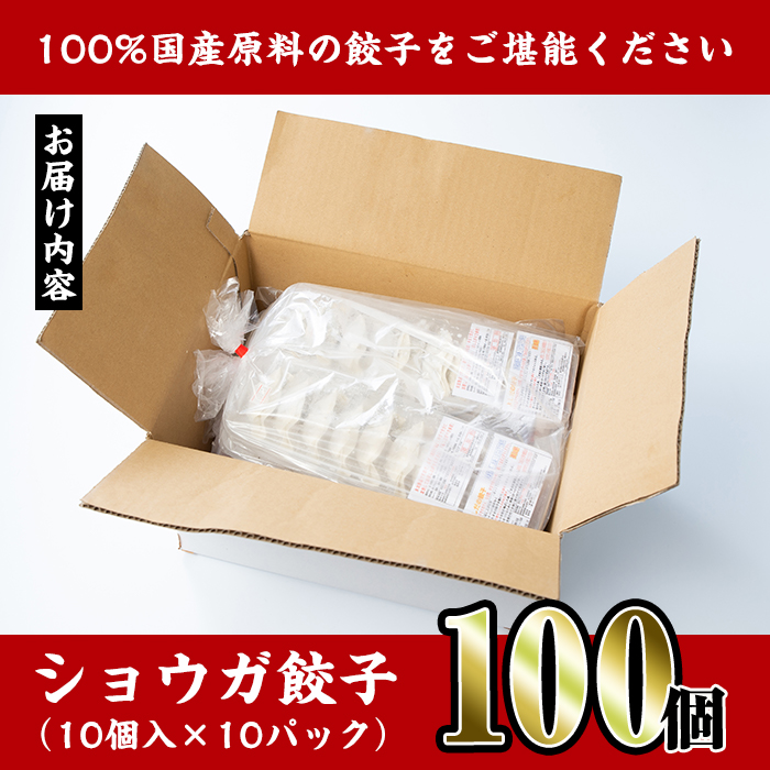 i393 国産豚肉使用！手作りショウガ餃子100個セット(10個×10パック たれ付き）具材は全て安心安全な国産！にんにく不使用！ビールのお供に相性抜群！【スーパーよしだ】