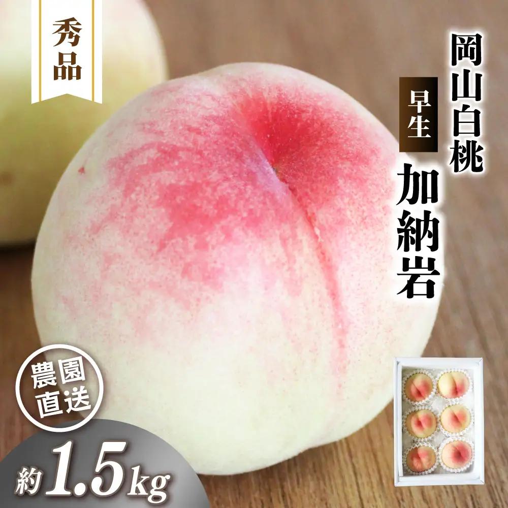 岡山白桃 加納岩 【秀品】 1.5kg前後 4～6玉 先行予約 momo40 【配送不可地域：北海道／沖縄県／離島】 【jujy077-01】