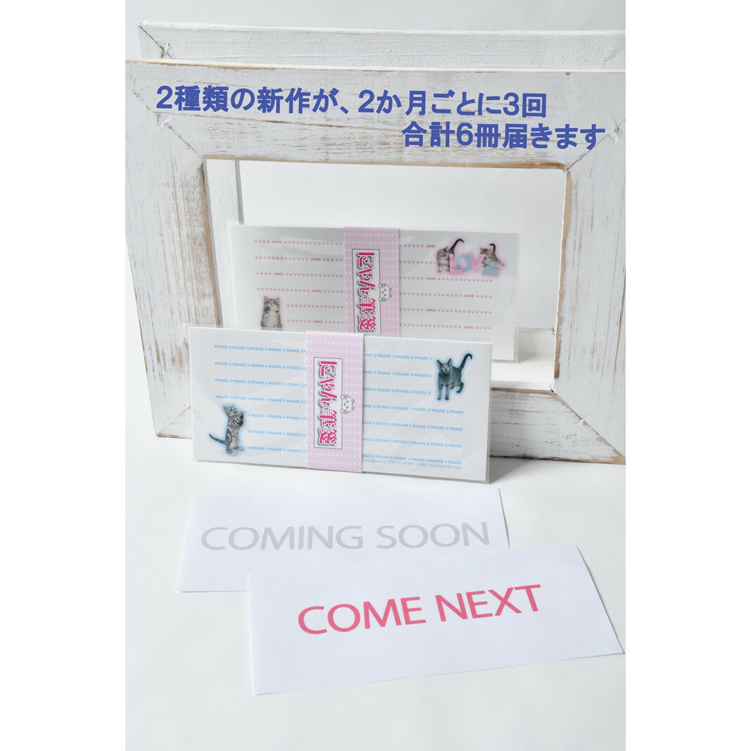【ふるさと納税】猫写真の一筆箋「にゃん筆箋」隔月ごとに新作2種類が3回届くセット 定期便 3回 隔月 一筆箋 文房具 写真 猫 ねこ ネコ 筆箋 にゃんこ アニマル 可愛い かわいい 手紙 メッセージ 横書き セット 縦書き ギフト ラッピング可能 0039-005-S05