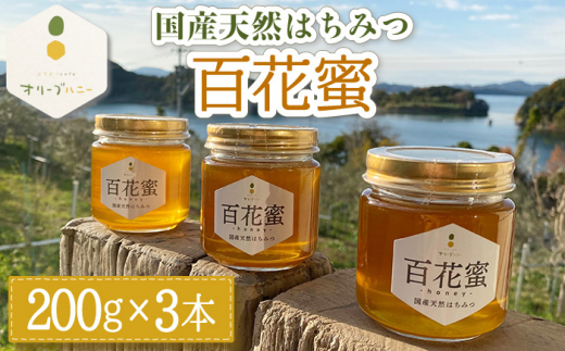 百花蜜 国産天然はちみつ 200g × 3本〈嬉しい贈答箱入り！〉【オリーブハニー】[OCG004] / はちみつ 蜂蜜 ハチミツ 百花蜜 国産はちみつ 百花蜜 長崎県産蜂蜜 川棚町ハチミツ はちみつ 天然はちみつ 贈答 高級はちみつ