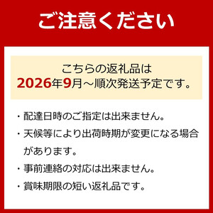 ［先行予約・2026年発送］朝採れ完熟シャインマスカットと和梨 大人気セット 約2kg