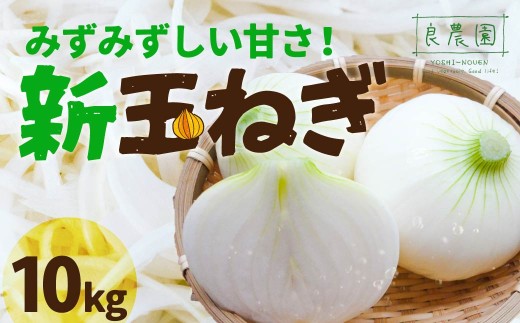 新玉ねぎ 10kg  | 減農薬 野菜ソムリエ みずみずしい 旬野菜 生野菜 サラダ ギフト レシピ 贈り物 国産 朝採れ 新鮮野菜 産直 良農園 群馬県 前橋市