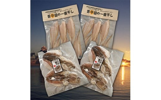 なかつ海の幸セット | 舌平目（ベタ）一夜干し・イカ一夜干し 各2セット