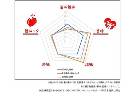 レンコン 5kg 金澤美人れんこん 蓮根 野菜 根菜