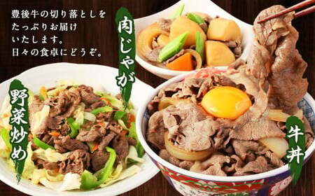 豊後牛 切り落とし 合計約5.4kg (約600g×9パック) 牛肉 国産 大分県産