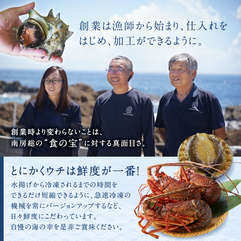 【12月23日決済完了分まで年内配送】【天然】ボイル冷凍伊勢海老　約100g×8本前後