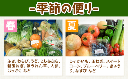 旬の新鮮な 野菜便 定期便 計4回お届け 各8～10品 アグリサポート美馬《次シーズンから出荷》春夏秋冬 定期 野菜 青果物 お取り寄せ 送料無料 徳島県 美馬市